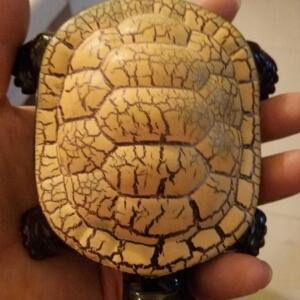 冲冠一怒为红颜