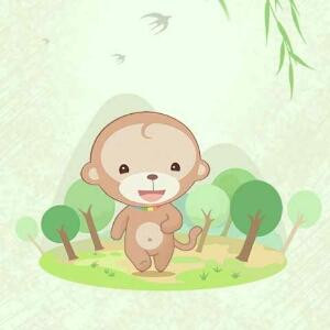 i499041232wer