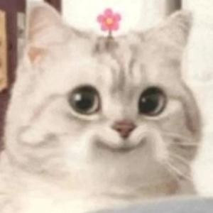 先知