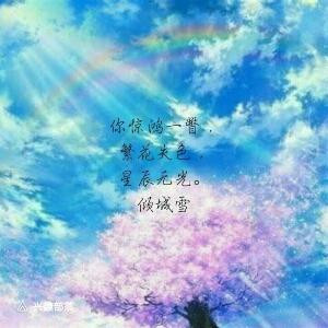 时光和你都很美