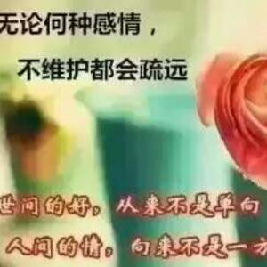 王蓉蓉