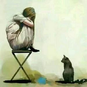 猫猫吉祥