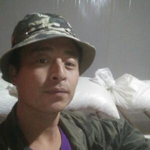书吃