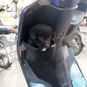 郭彬