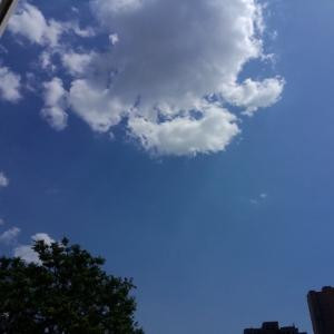 奔跑吧