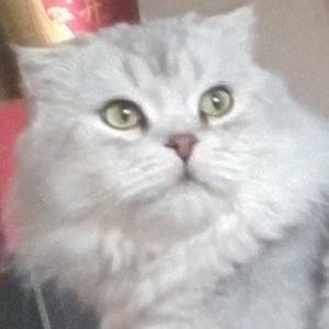 请叫我萌主