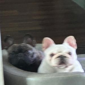 高興