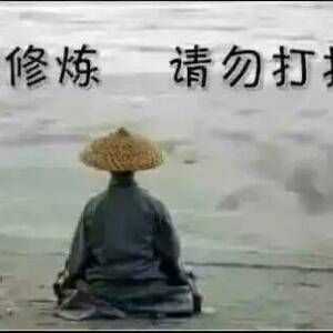 书虫