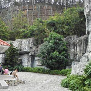田兴