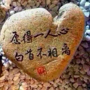 小辣椒