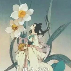 叶菱歌