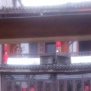 兔大妞