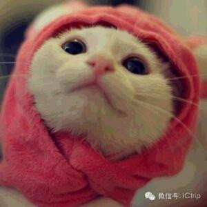 阳光普照