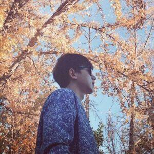 繁星在夜空坠落