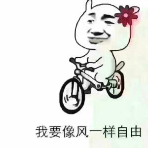 情遇爱情海