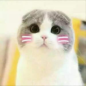 跑得快
