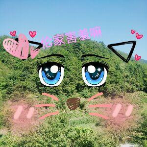 空城只有旧梦在