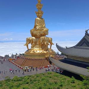 金明