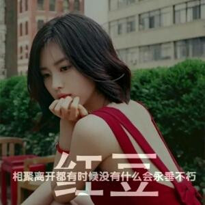 陈哒哒i