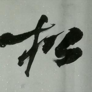i219014229兔子
