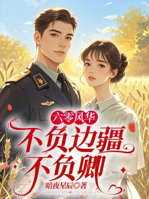 六零风华:不负边疆不负卿