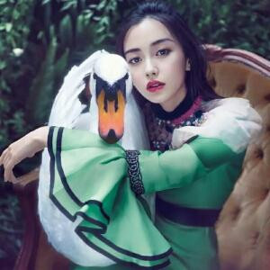 angelababy