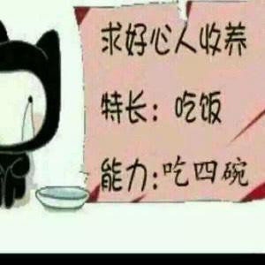 伪贱