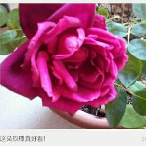 想像未来