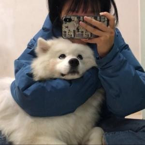 归月