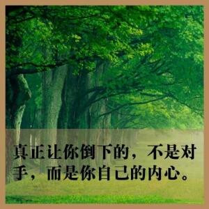 天天向上