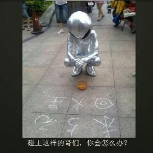 蚂蚁搬蛋