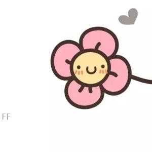 小葱爱睡觉