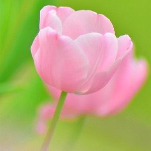 曦烨