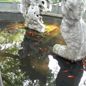 天狼