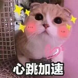 久绊