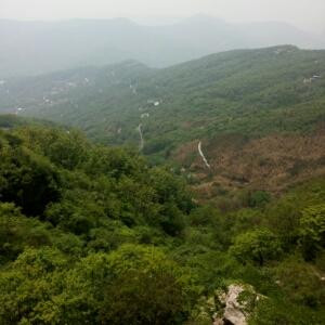 随风淡漠