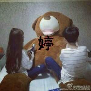 婷宝