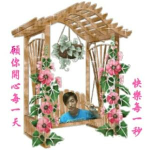 读书只为不孤独
