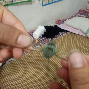 思念