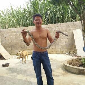 i856325849阅狂