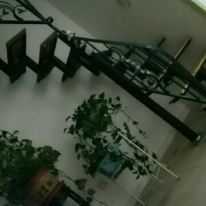 李有智123