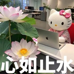 小菲