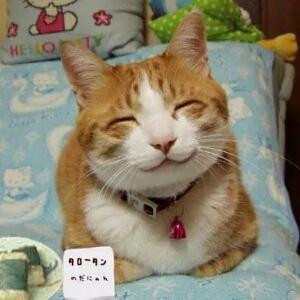 丫头O_o