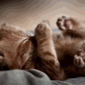 良辰美景奈何天