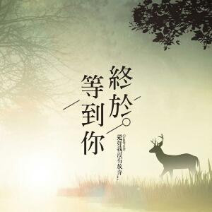 大宝