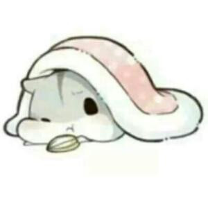 天魅樱华