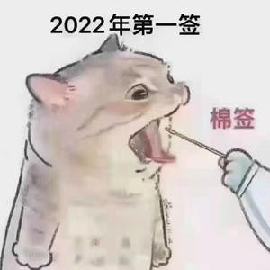 fly想梦