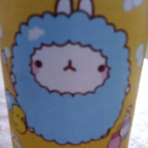 韩小琴