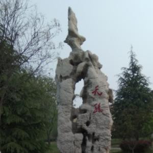 无语的爱