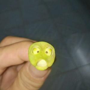 雅骚